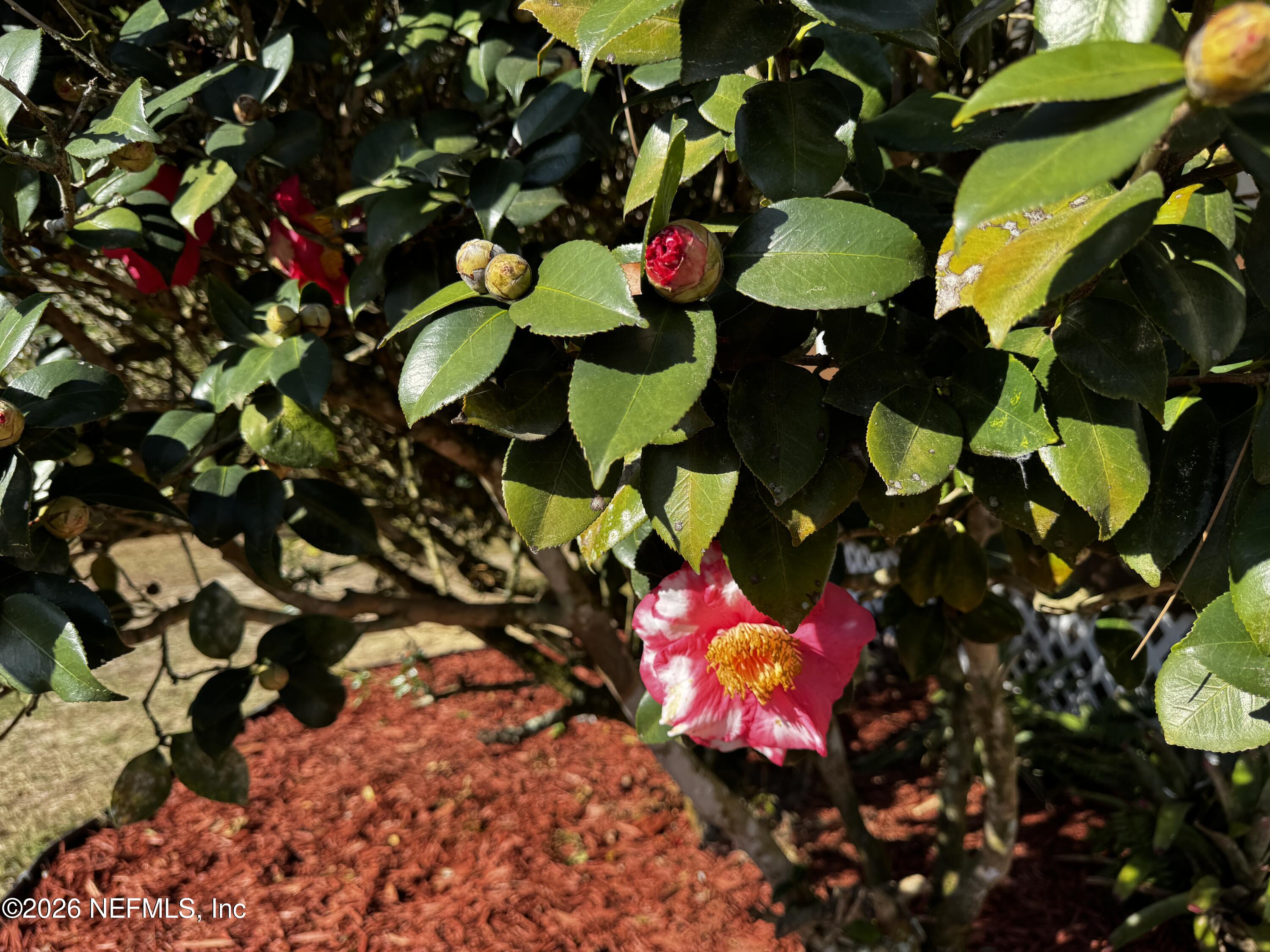 130 Adrian Avenue Interlachen, FL 32148 - Photo 20 of 26 130 Adrian Av, Putnam County, FL