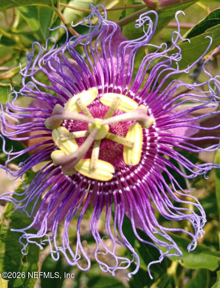 130 Adrian Avenue Interlachen, FL 32148 - Photo 22 of 26 130 Adrian Av, Putnam County, FL