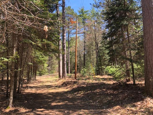Lot 3 Burnt Bridge Road St. Germain, WI 54558 - Photo 10 of 11 Gallery Image 10