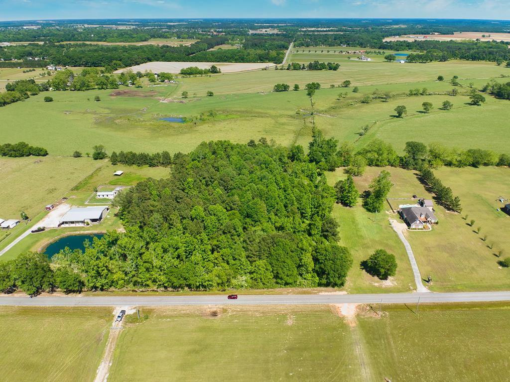 0 Suggs Road Headland, AL 36345 - Photo 1 of 7