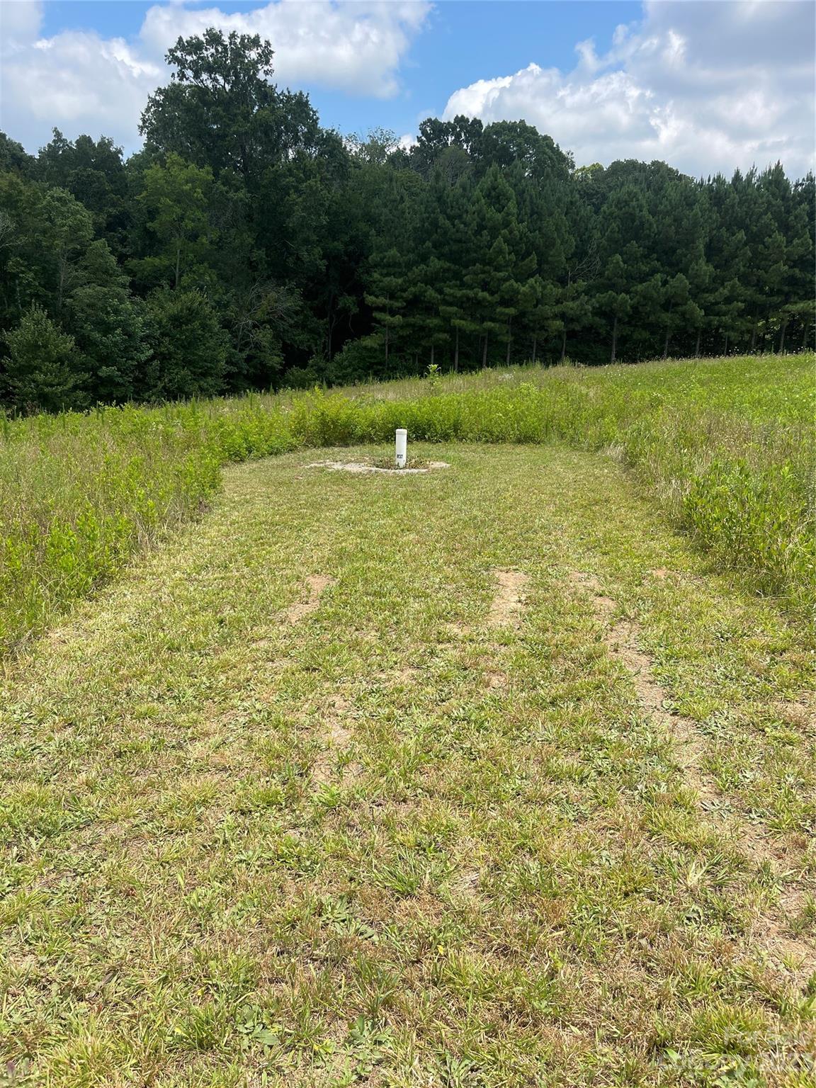 2301 Dutch Road Mount Pleasant, NC 28124 - Photo 11 of 14 a view of outdoor space and yard