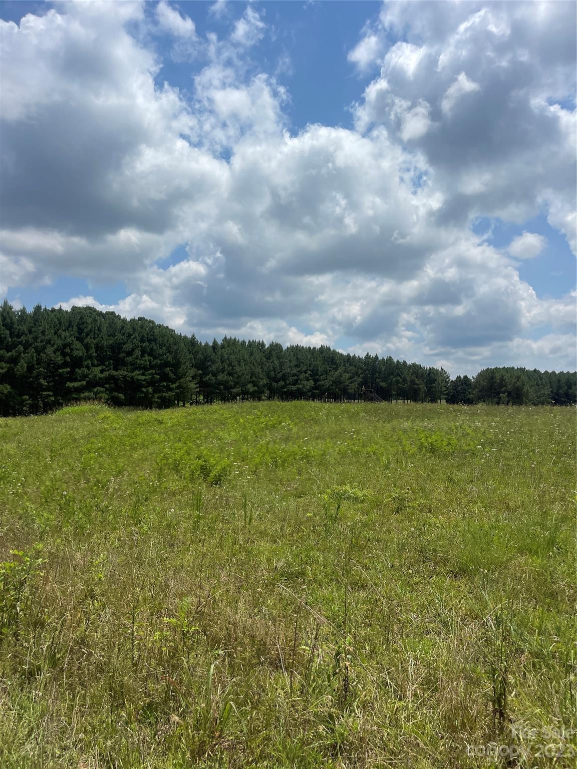 2301 Dutch Road Mount Pleasant, NC 28124 - Photo 13 of 14 a view of a lake with a big yard