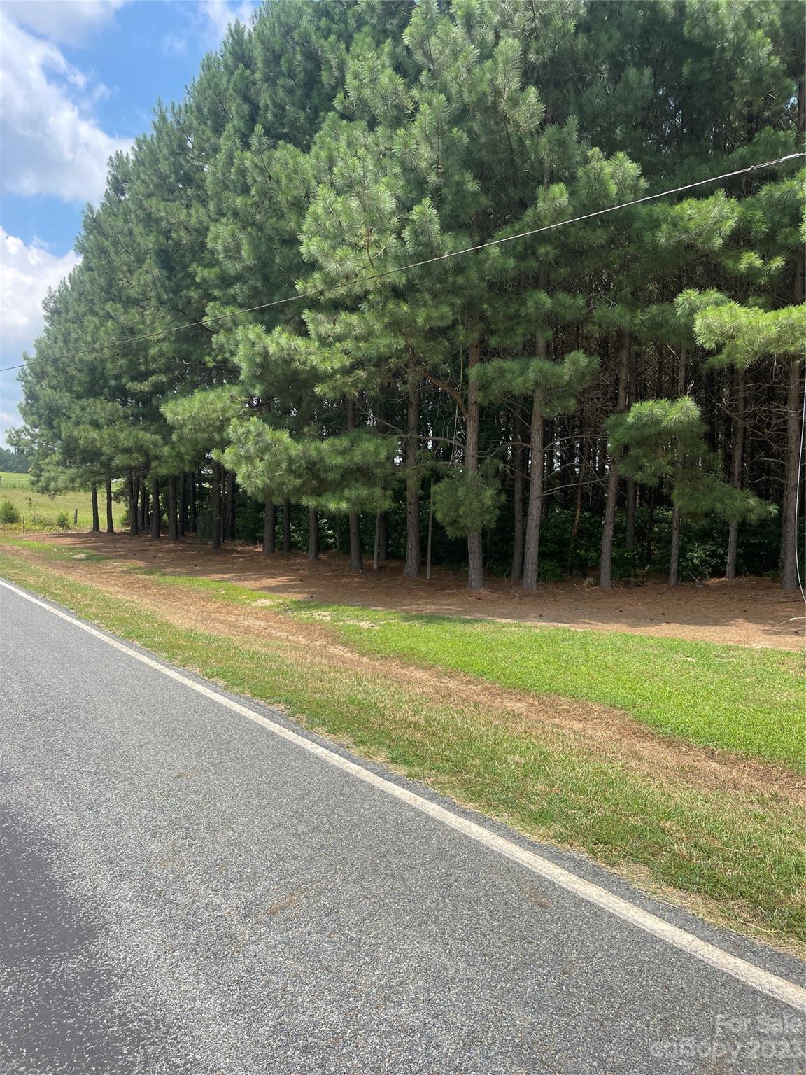 2301 Dutch Road Mount Pleasant, NC 28124 - Photo 6 of 14 a view of a house with a big yard and large trees