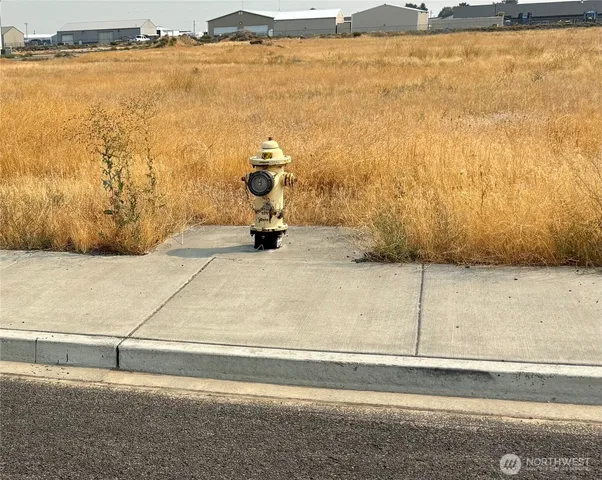 view of a dry yard with wooden floor