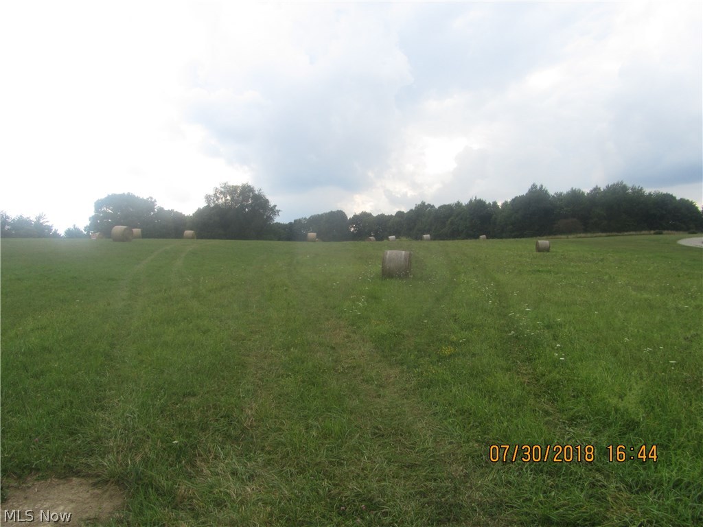 20135 Hammondsville Road Wellsville, OH 43968 - Photo 2 of 5