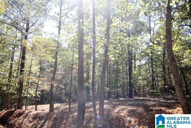 0 County Road 928, Unit 19 Delta, AL 36258 - Photo 37 of 43