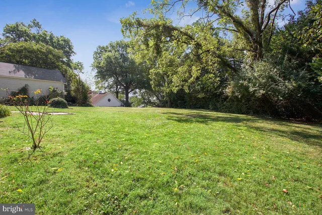 a view of a field of grass and trees