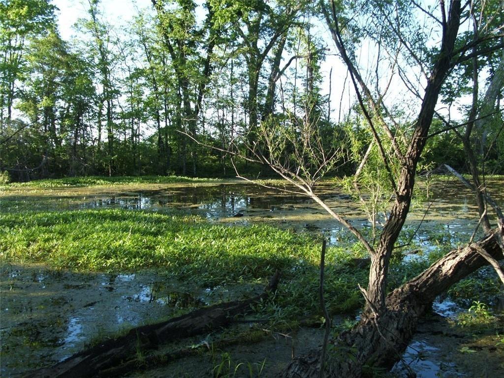 0 Idaho Road Humboldt, KS 66748 - Photo 4 of 6