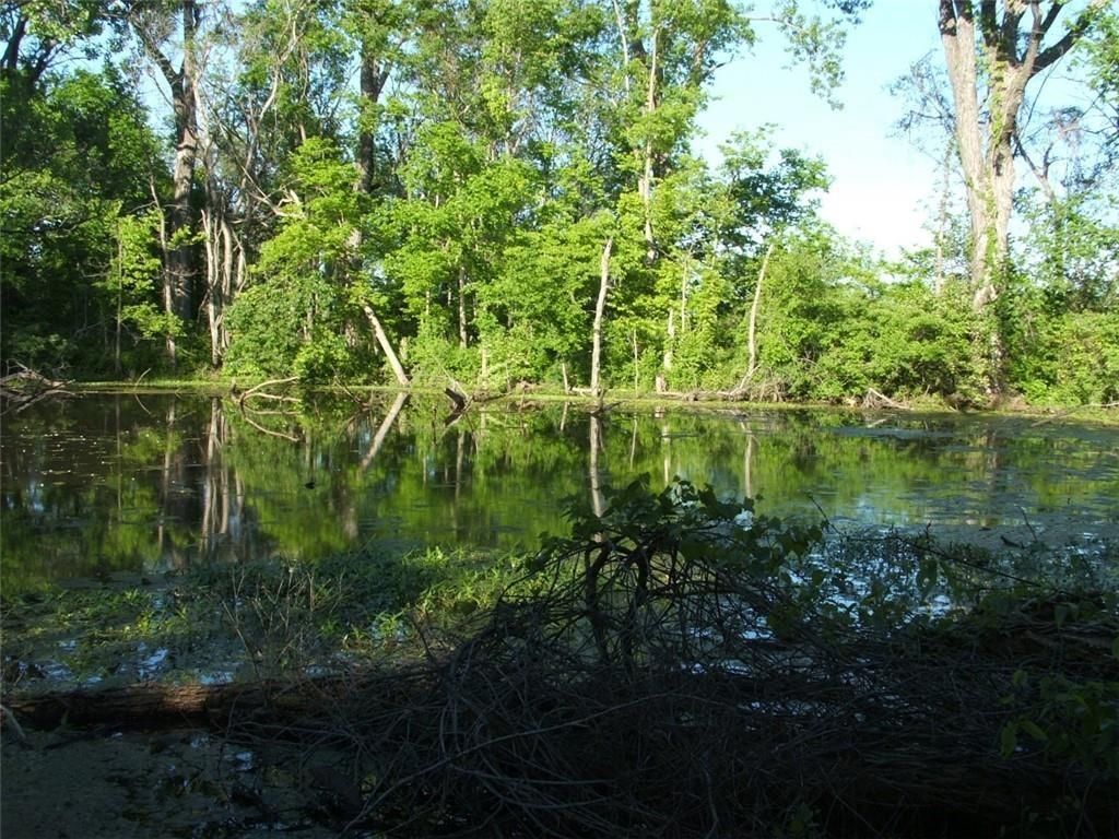 0 Idaho Road Humboldt, KS 66748 - Photo 5 of 6
