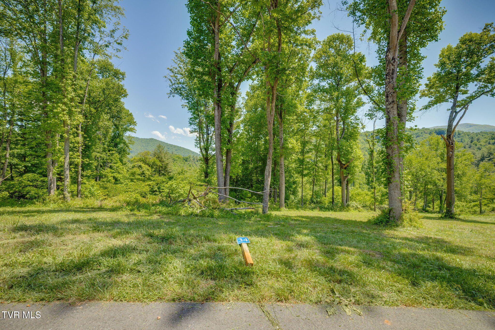 Tbd Lot 34 Tbd Road, Unit 34 Butler, TN 37640 - Photo 2 of 18 001