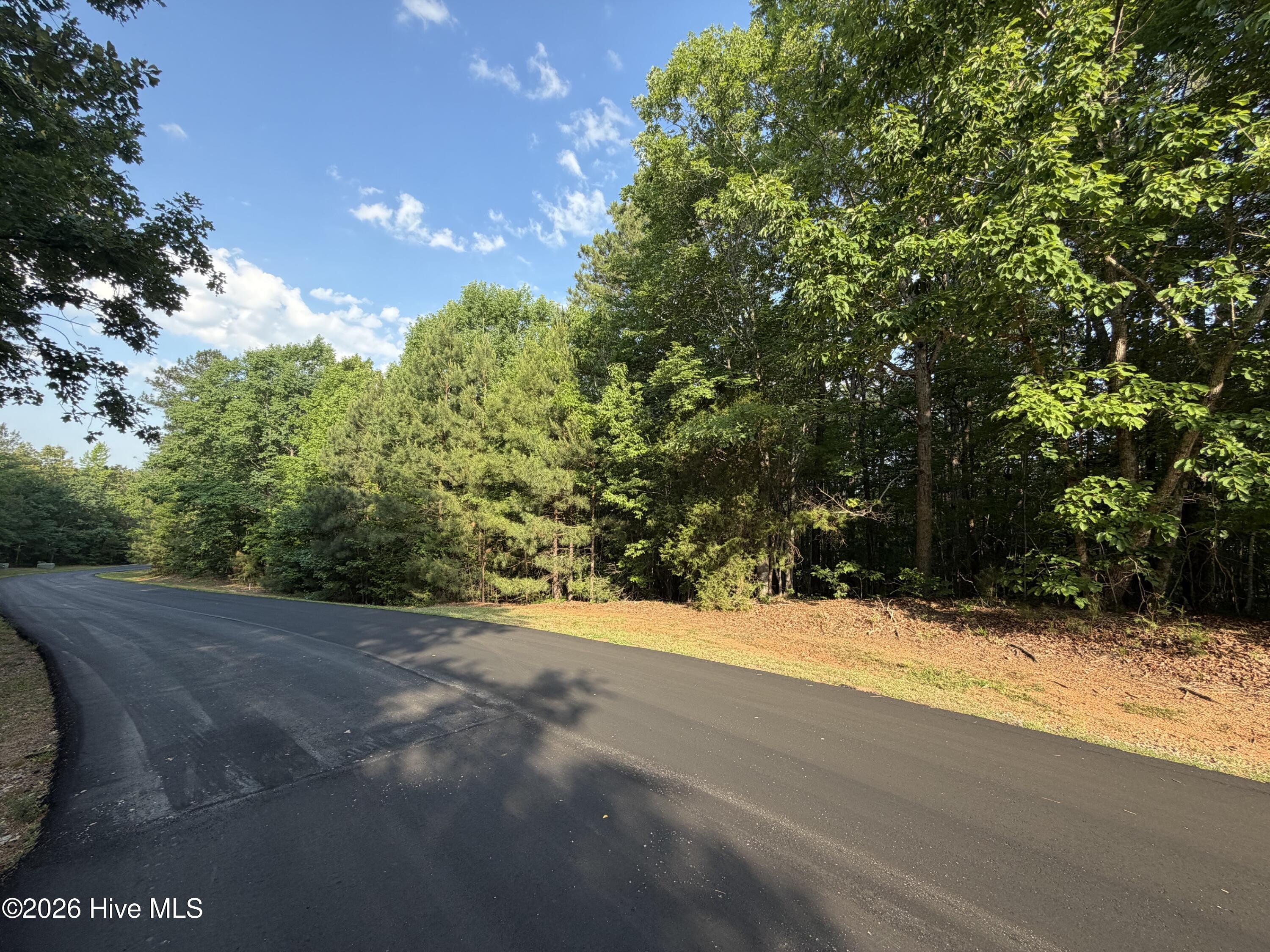 150 Watsons Way Rockingham, NC 28379 - Photo 1 of 7 Lot 28