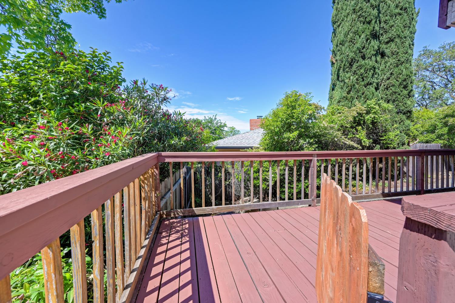 3582 Bell Road Auburn, CA 95602 - Photo 3 of 63