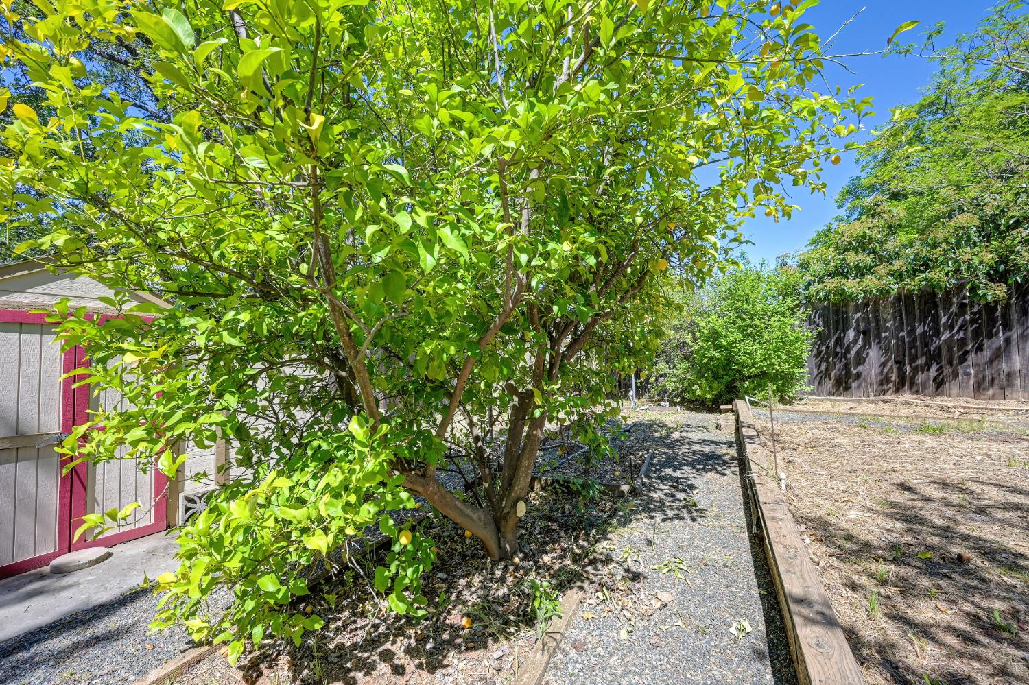 3582 Bell Road Auburn, CA 95602 - Photo 57 of 63