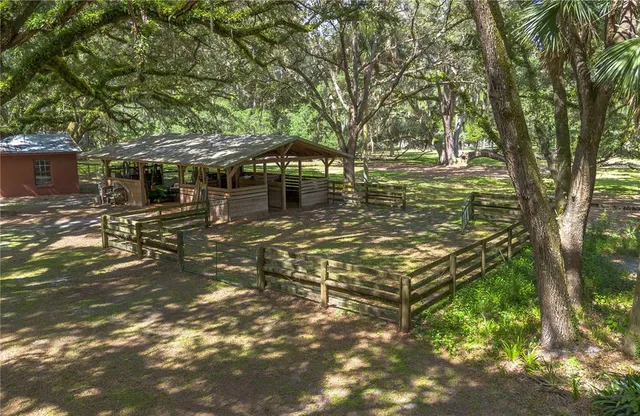 a view of a forest with a mountain view
