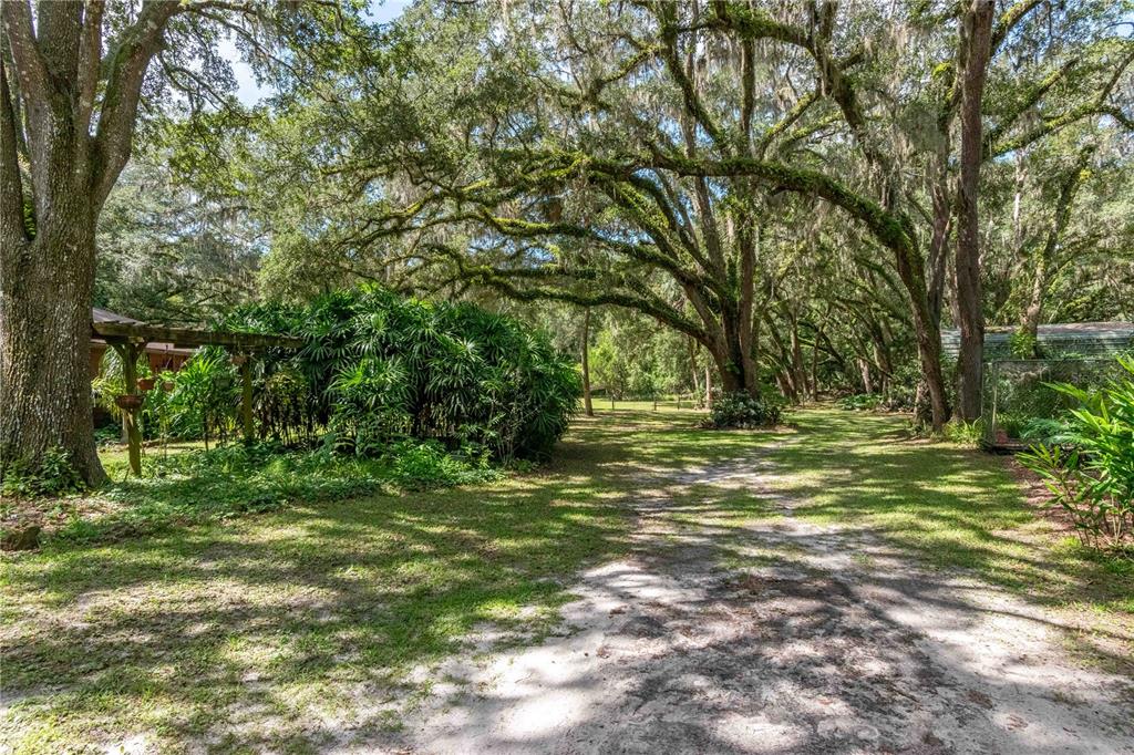 17840 Northeast 45th Avenue Road Citra, FL 32113 - Photo 51 of 62 a view of outdoor space with trees all around