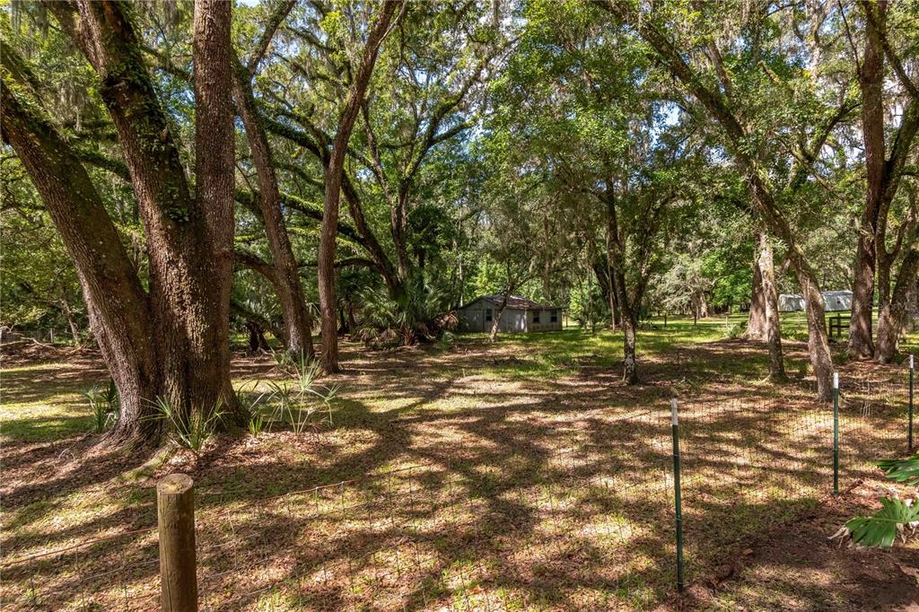 17840 Northeast 45th Avenue Road Citra, FL 32113 - Photo 54 of 62 a view of a yard with a tree