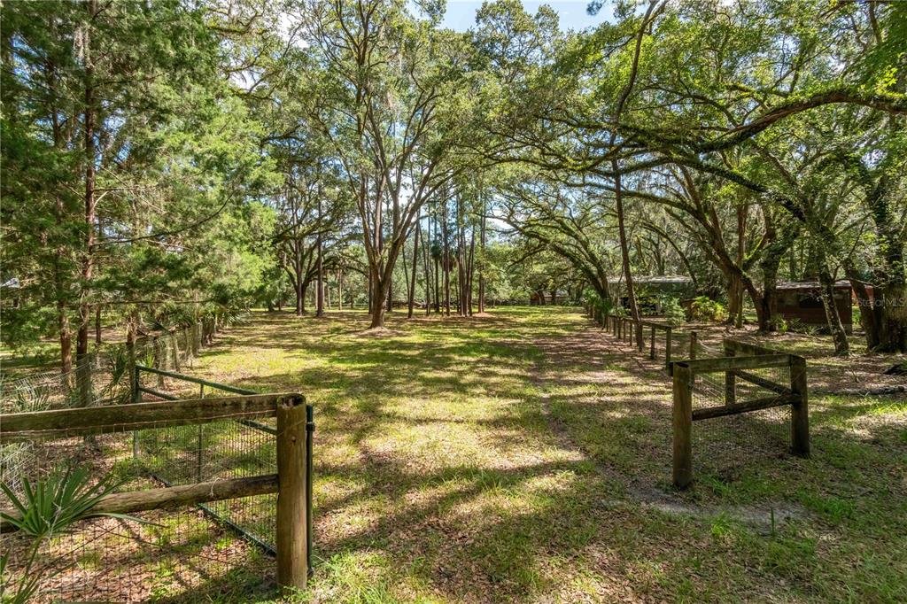 17840 Northeast 45th Avenue Road Citra, FL 32113 - Photo 56 of 62 a view of swimming pool with a bench and trees