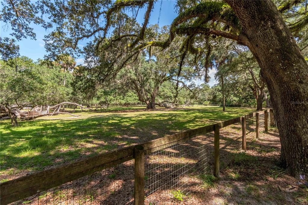 17840 Northeast 45th Avenue Road Citra, FL 32113 - Photo 57 of 62 a view of a park with large trees
