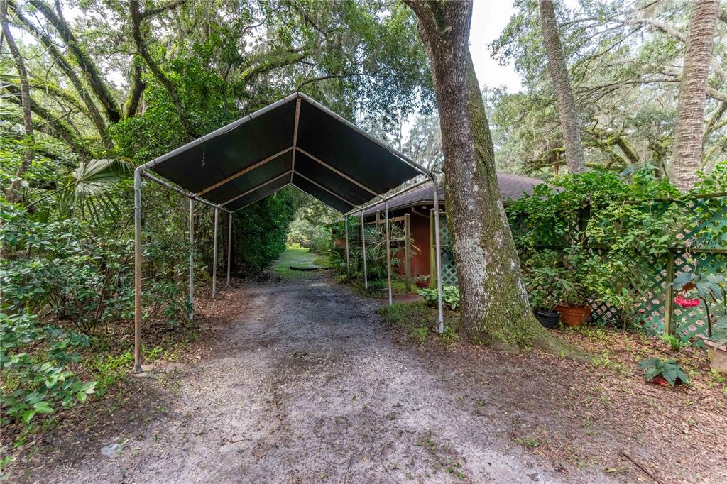17840 Northeast 45th Avenue Road Citra, FL 32113 - Photo 58 of 62 a view of a barn in the forest