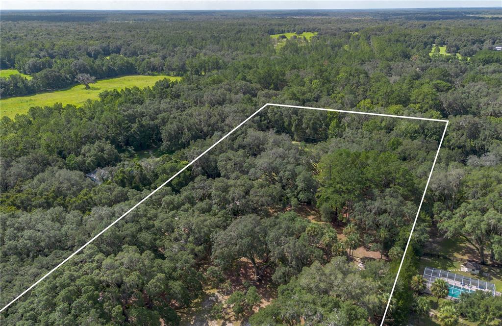 17840 Northeast 45th Avenue Road Citra, FL 32113 - Photo 60 of 62 a view of a forest with a mountain view
