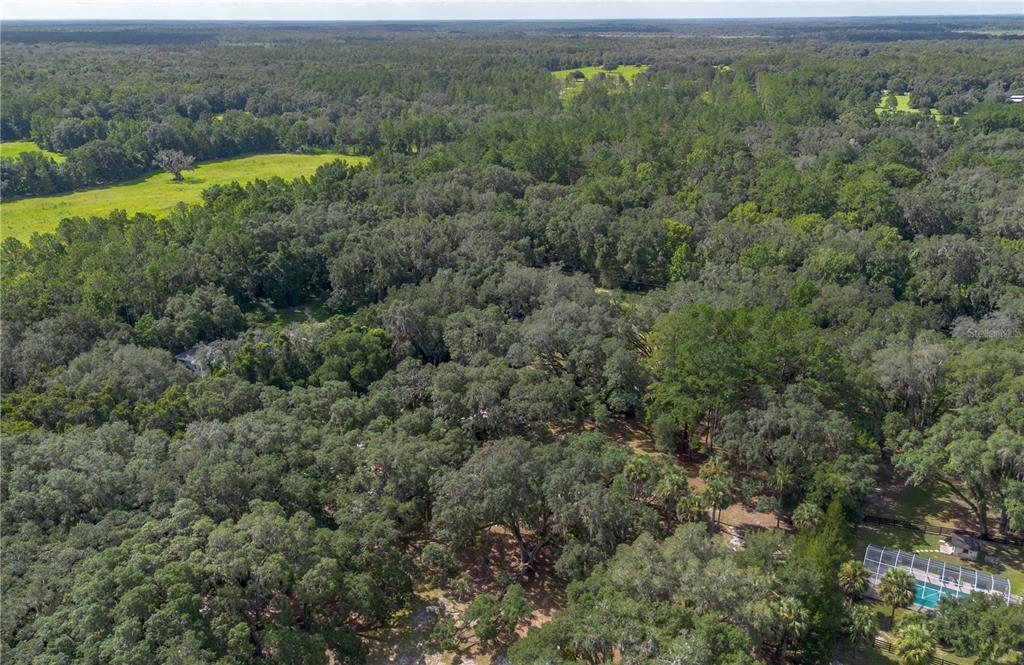 17840 Northeast 45th Avenue Road Citra, FL 32113 - Photo 61 of 62 an aerial view of forest