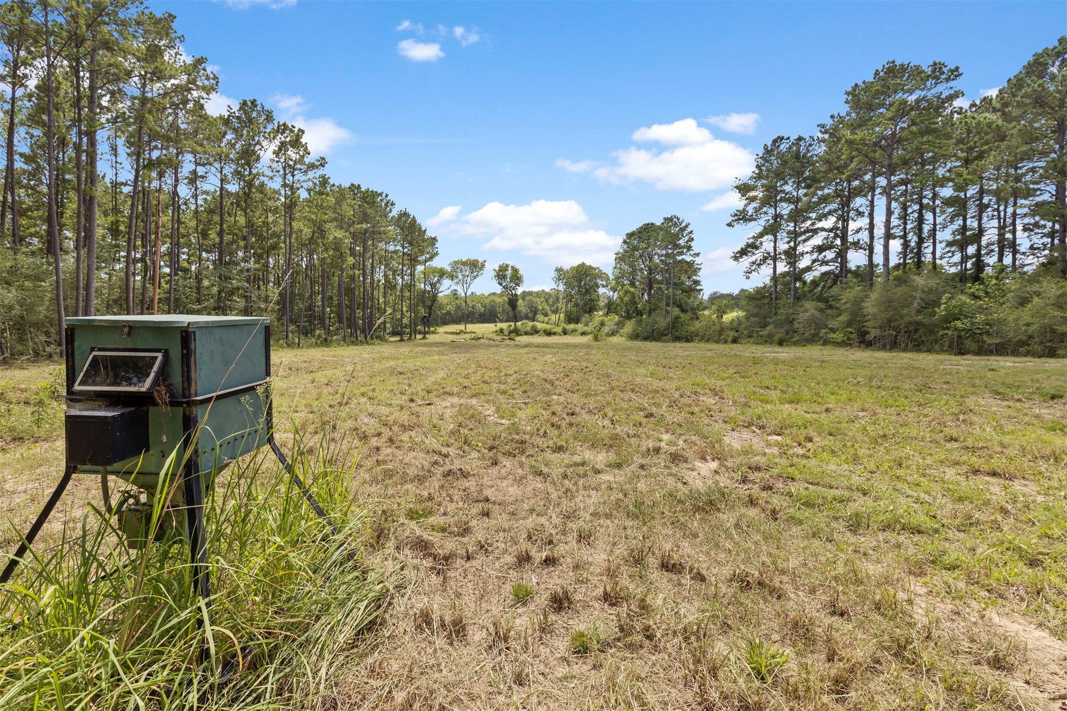 18022 Rogers Road New Waverly, TX 77358 - Photo 44 of 49 View Towards The Front Of The Property