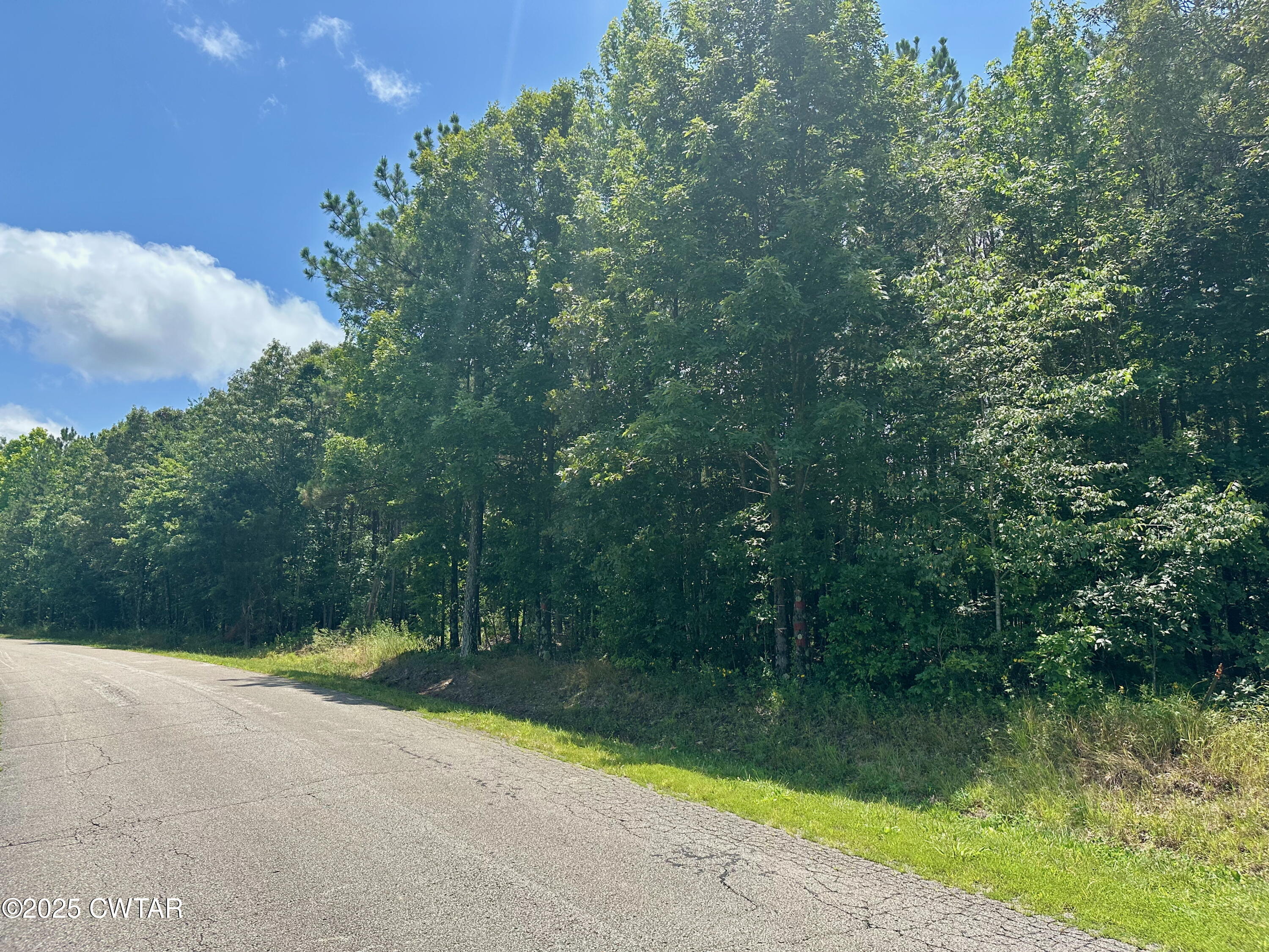 0 Moonshine Loop Lexington, TN 38351 - Photo 2 of 4 a view of swimming pool from a yard