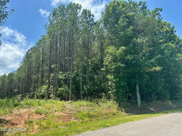 a view of a yard with a tree