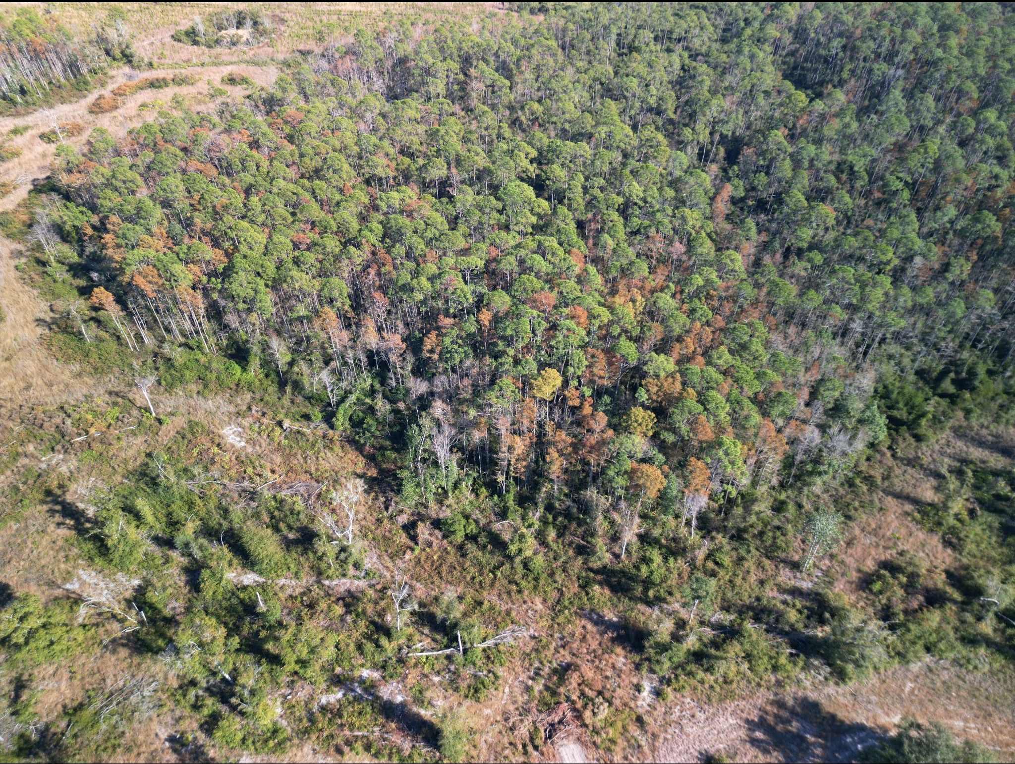 3220 Albert Hendry Road Greenville, FL 32331 - Photo 19 of 22