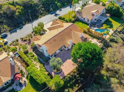 an aerial view of a house with a yard and potted plants