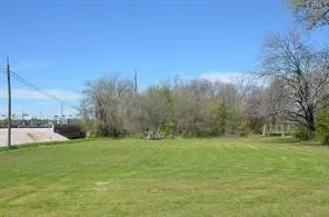 a view of a grassy field with trees in the background