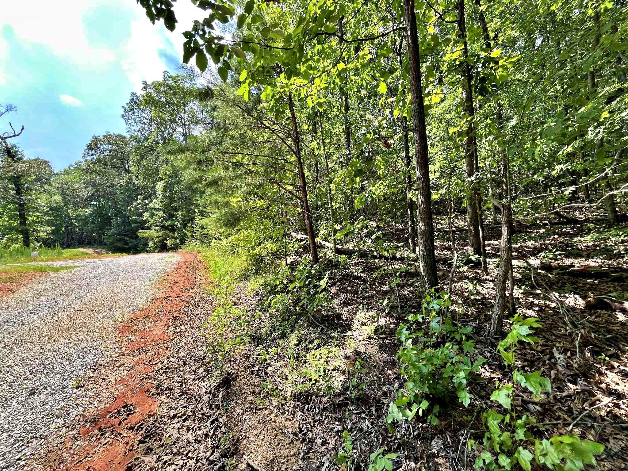 4 Raby Hollow Road Kingston, TN 37763 - Photo 5 of 8