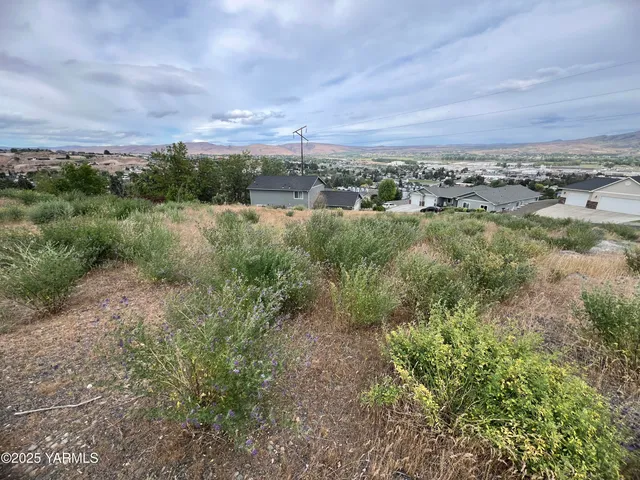 a view of a city with lots of trees