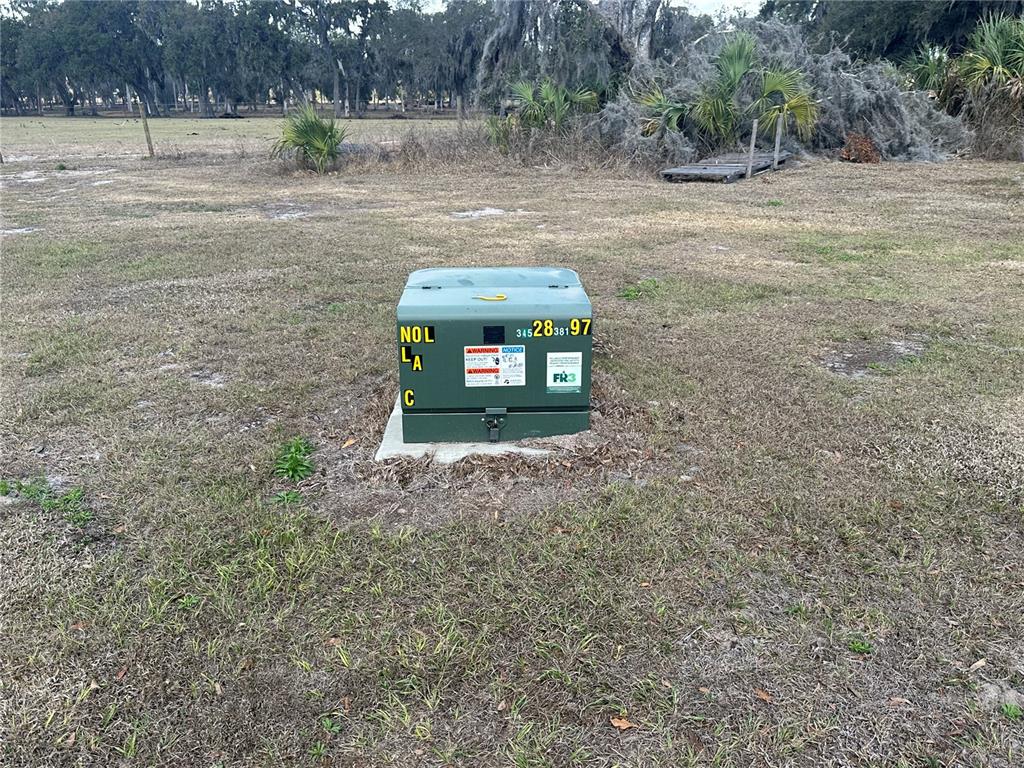 9988 Bryant Road Lithia, FL 33547 - Photo 8 of 12