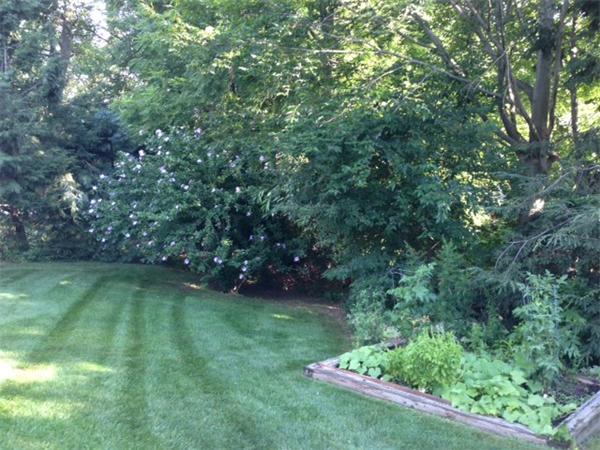 1 Margaret Road Dedham, MA 02026 - Photo 20 of 20 Gallery Image 20