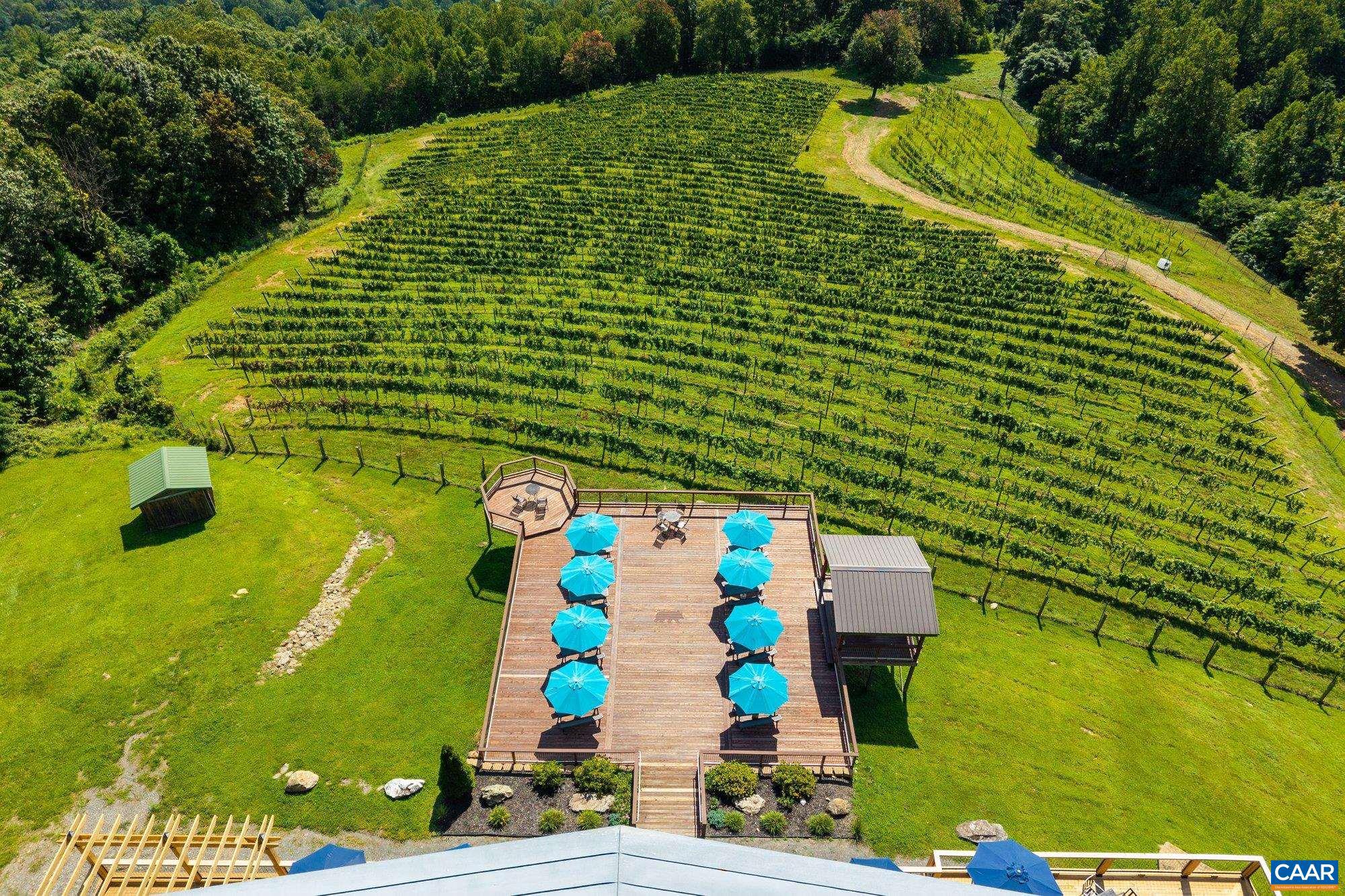 1376 A Wyatt Mountain Road Dyke, VA 22935 - Photo 16 of 58 a view of a swimming pool with a yard