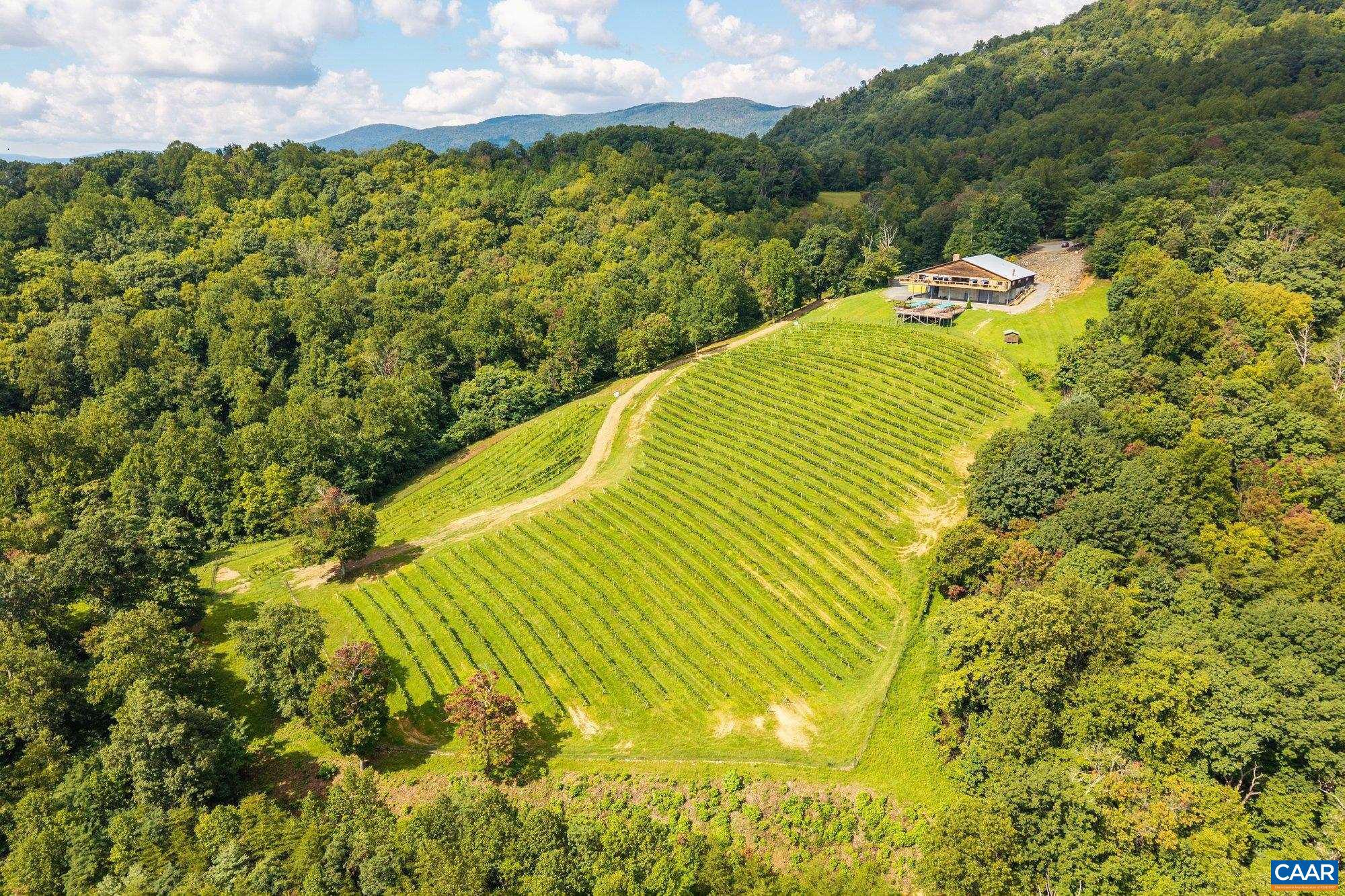 1376 A Wyatt Mountain Road Dyke, VA 22935 - Photo 2 of 58 a view of swimming pool from a lake view