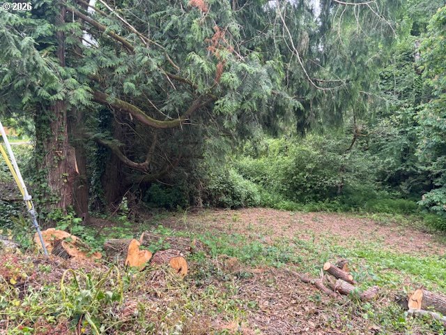 32720 Southeast Hurlburt Road Corbett, OR 97019 - Photo 6 of 33