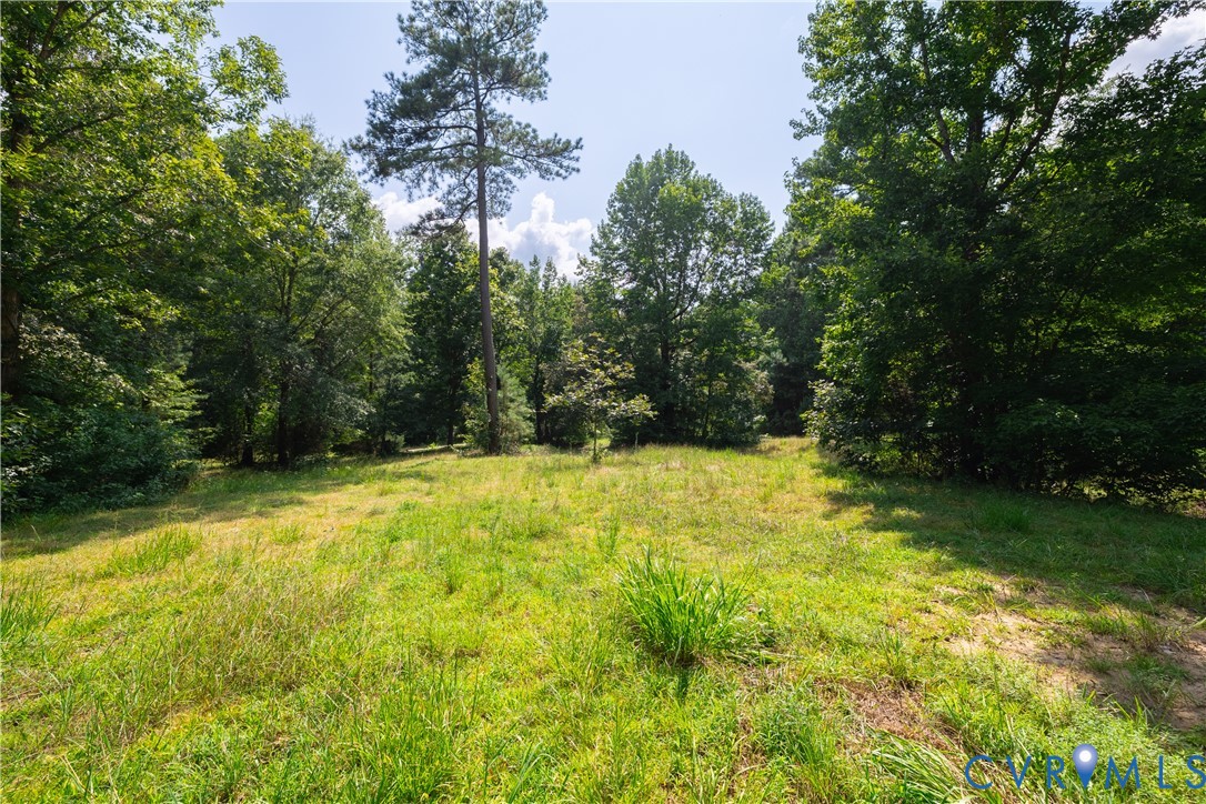 3996 Trinity Forest Road Church Road, VA 23833 - Photo 38 of 50 Gallery Image 38