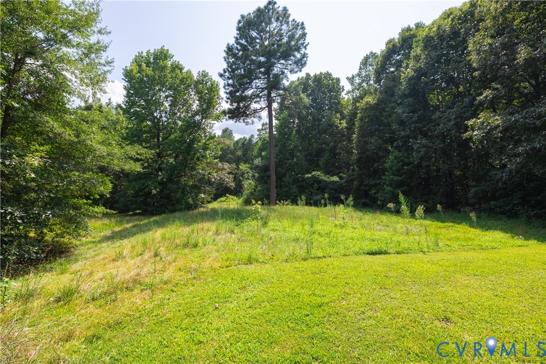 3996 Trinity Forest Road Church Road, VA 23833 - Photo 40 of 50 Gallery Image 40