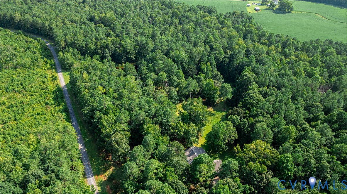 3996 Trinity Forest Road Church Road, VA 23833 - Photo 45 of 50 Gallery Image 45