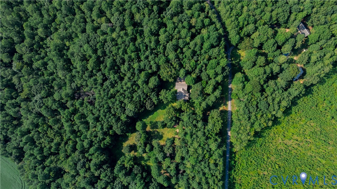 3996 Trinity Forest Road Church Road, VA 23833 - Photo 46 of 50 Gallery Image 46