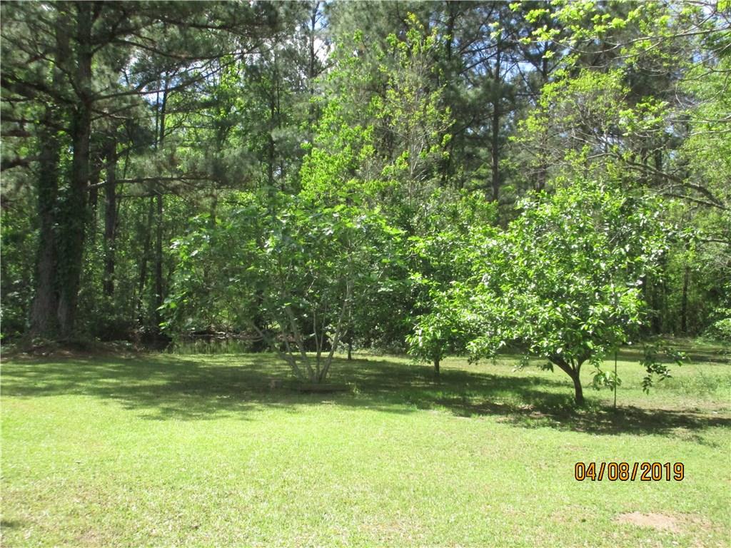 27080 Horseshoe Road Independence, LA 70443 - Photo 38 of 40