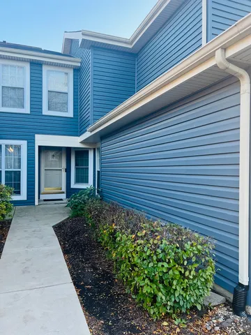 a view of a backyard with plants