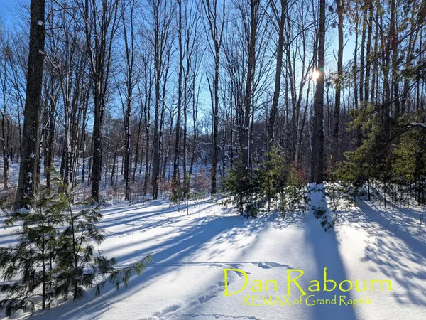 $97,500 | 5263 East 8 Mile Road, Luther, MI 49656