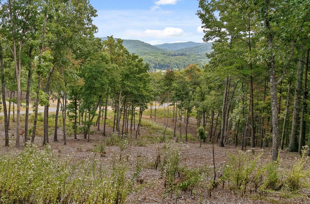 Lot 88 Split Creek Road Morganton, GA 30560 - Photo 1 of 35 Main View