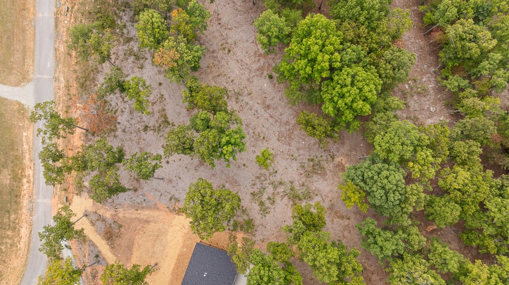 Lot 88 Split Creek Road Morganton, GA 30560 - Photo 11 of 35