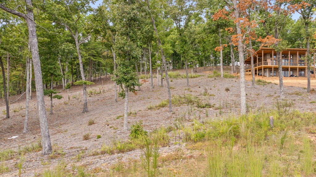 Lot 88 Split Creek Road Morganton, GA 30560 - Photo 12 of 35