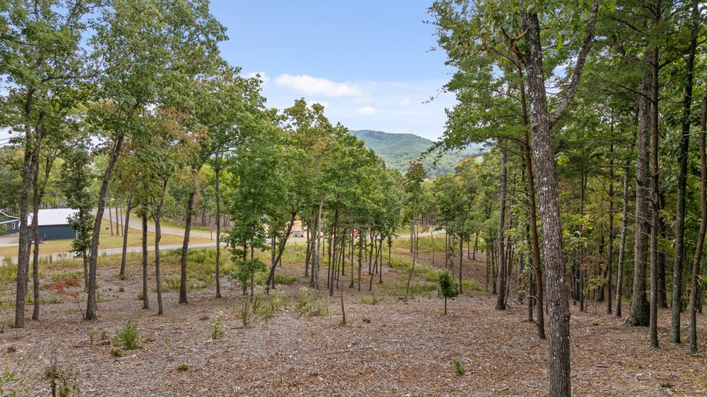 Lot 88 Split Creek Road Morganton, GA 30560 - Photo 14 of 35