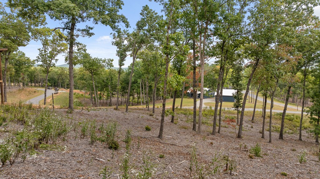 Lot 88 Split Creek Road Morganton, GA 30560 - Photo 15 of 35